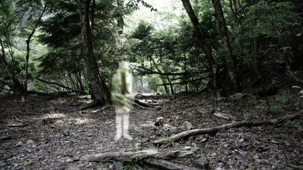 Where is my real entity